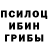 Псилоцибиновые грибы прущие грибы Ruslan Kharrasov