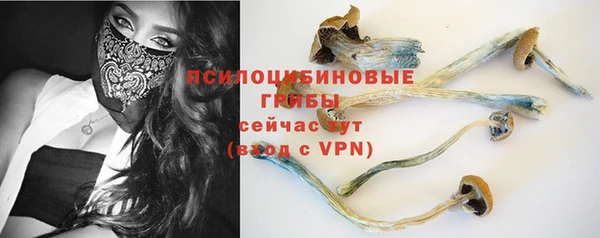 спиды Абаза