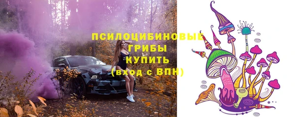 соль ск Абинск