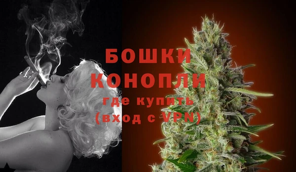 шишки Абдулино